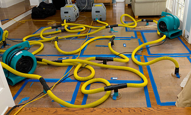 Professional Basement Flood Cleanup technician working in Gibbsboro, NJ